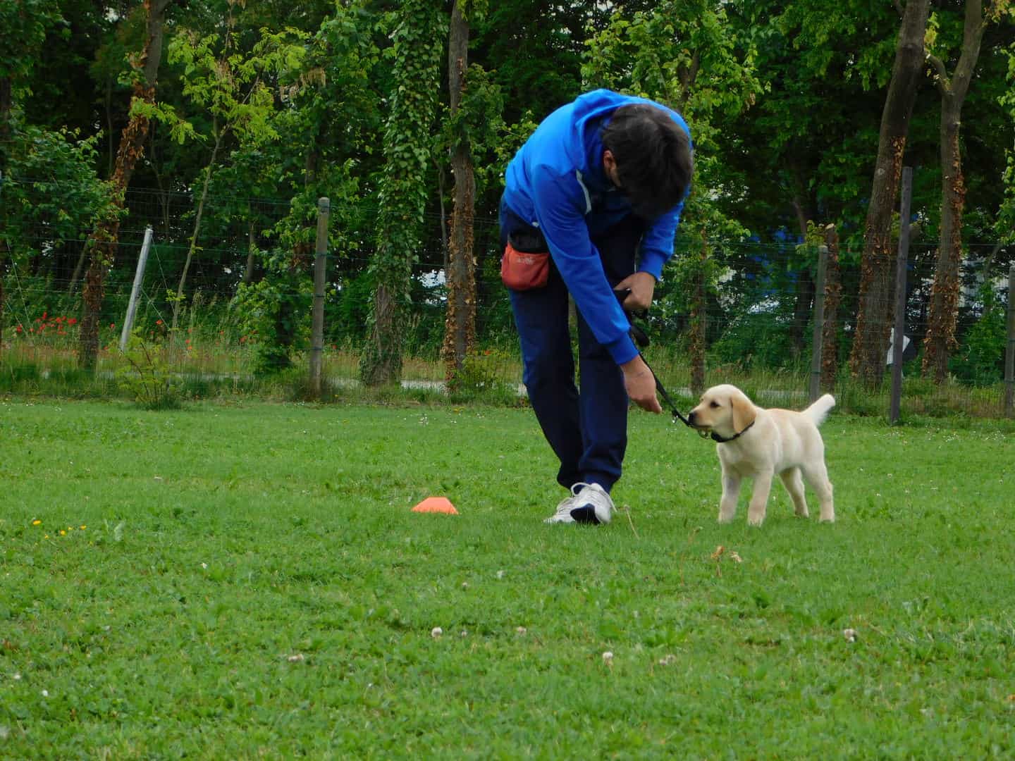 foto di persona e cane